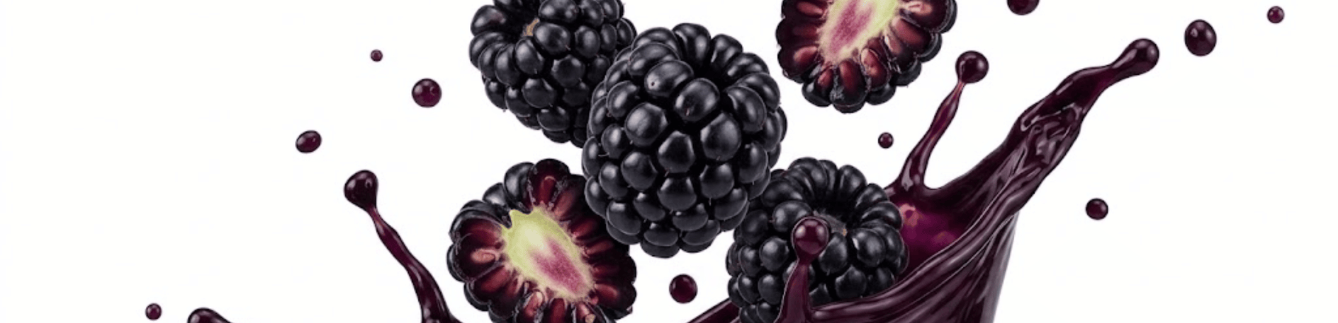 Black Berries on White Background