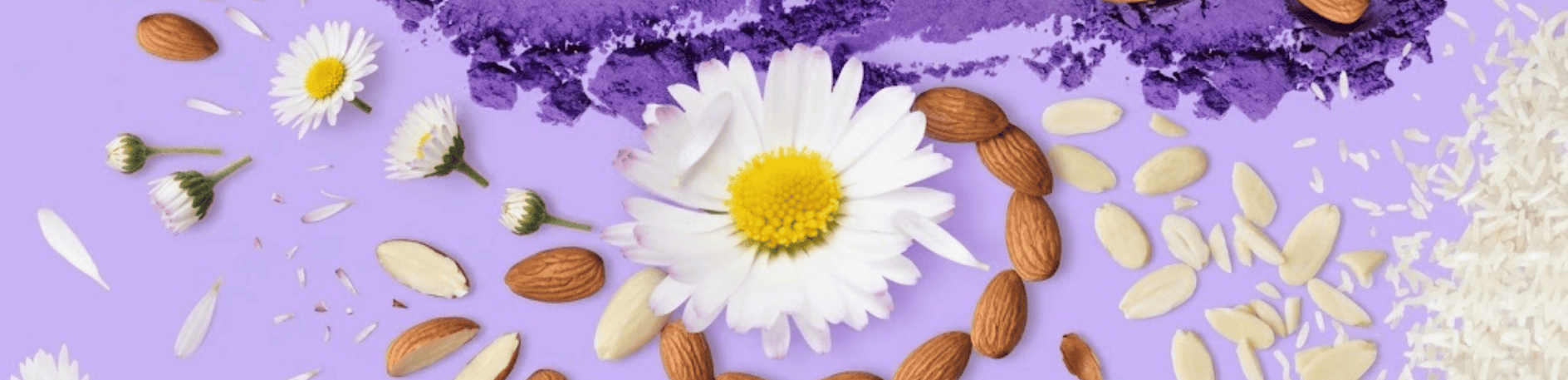 Puple Background with Rice Flowers and Almonds