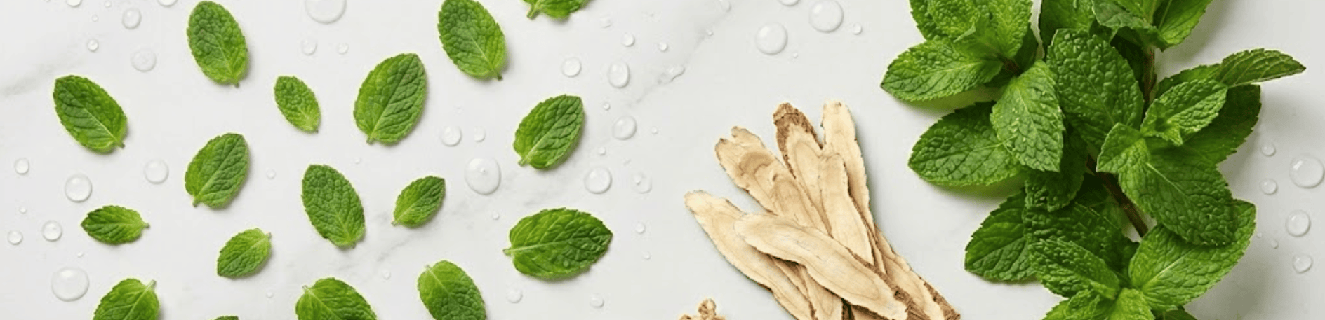 Green Mint Leaves with Ginseng