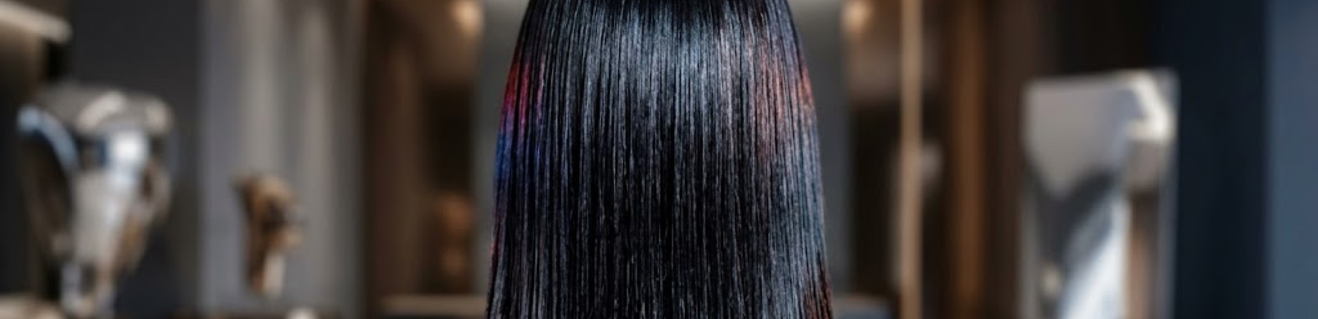 Black Straight Hair with Colored Tints