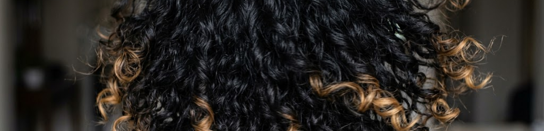 Behind-the-head view of playful, voluminous curly jet-black hair with soft golden highlights at the tips, full of life and movement.