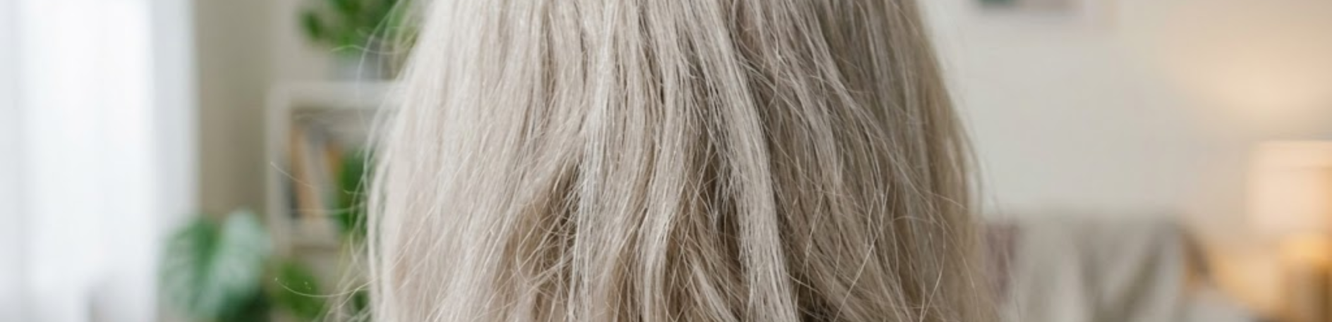 Fine and Thin Long Gray Hair