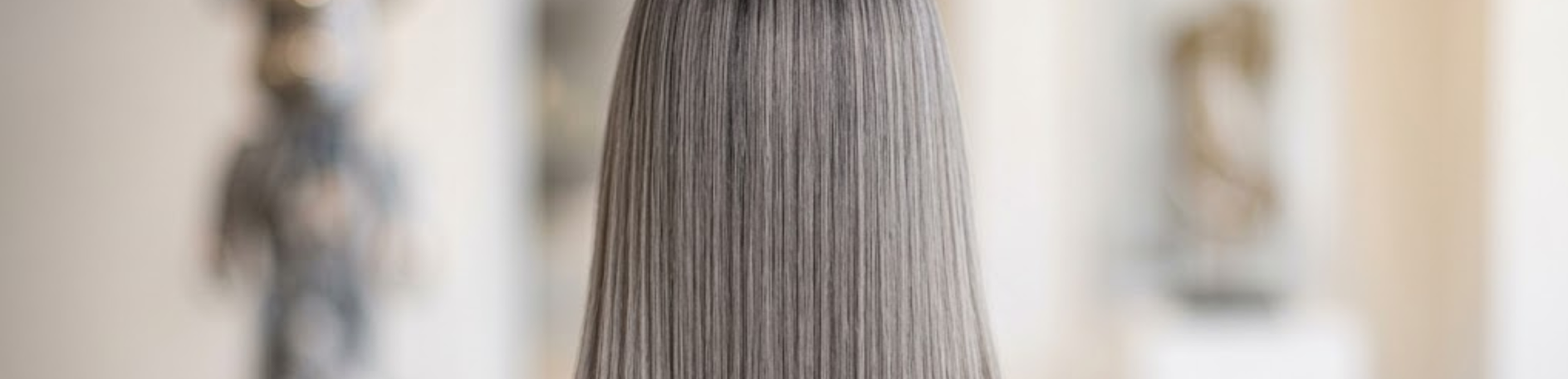 Pin Straight Gray Hair